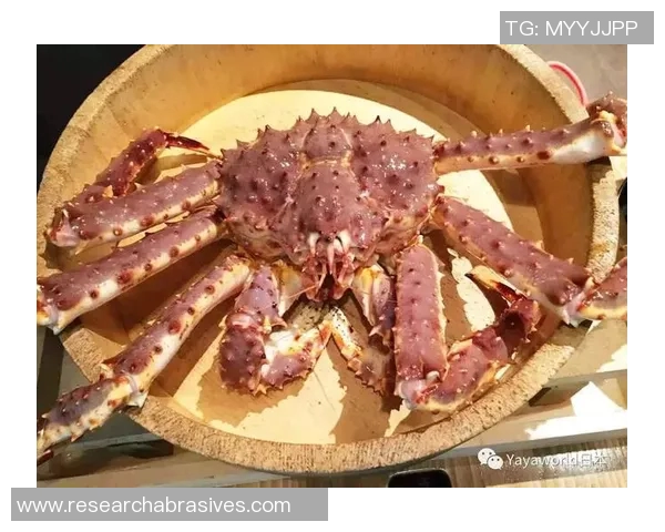 篮球明星亲自下厨揭秘美食秘笈让你在家也能享受星味大餐